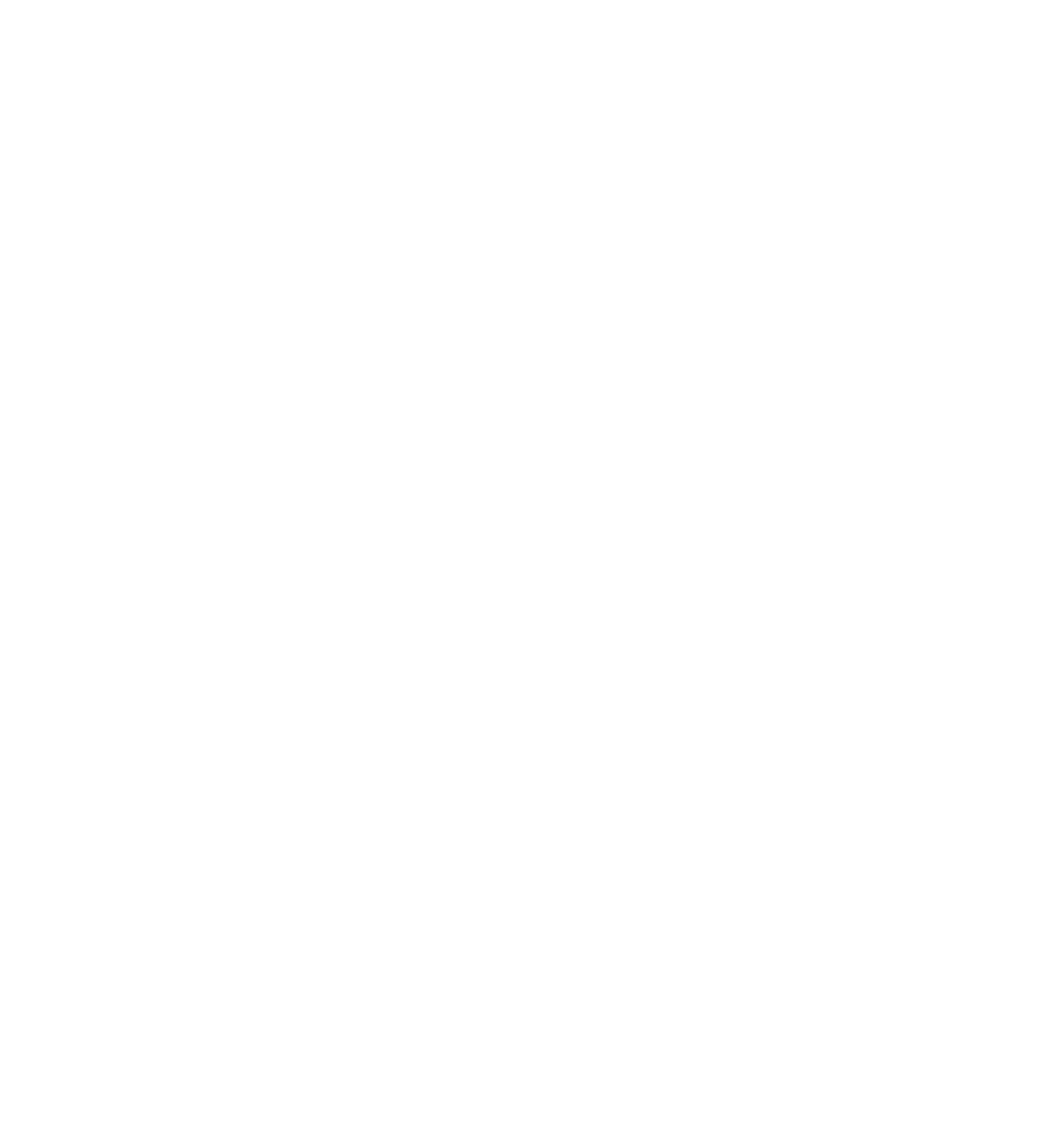 Paralympics New Zealand logo