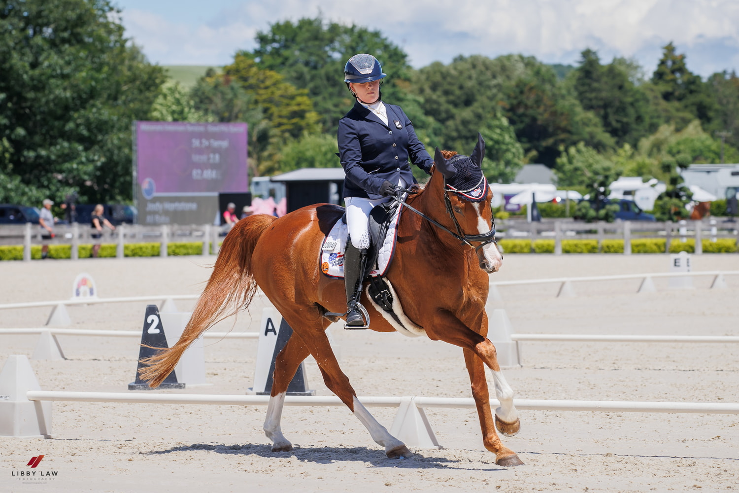 Louise wears a navy jacket and white jodhpurs as she competes in dressage on a chestnut horse.